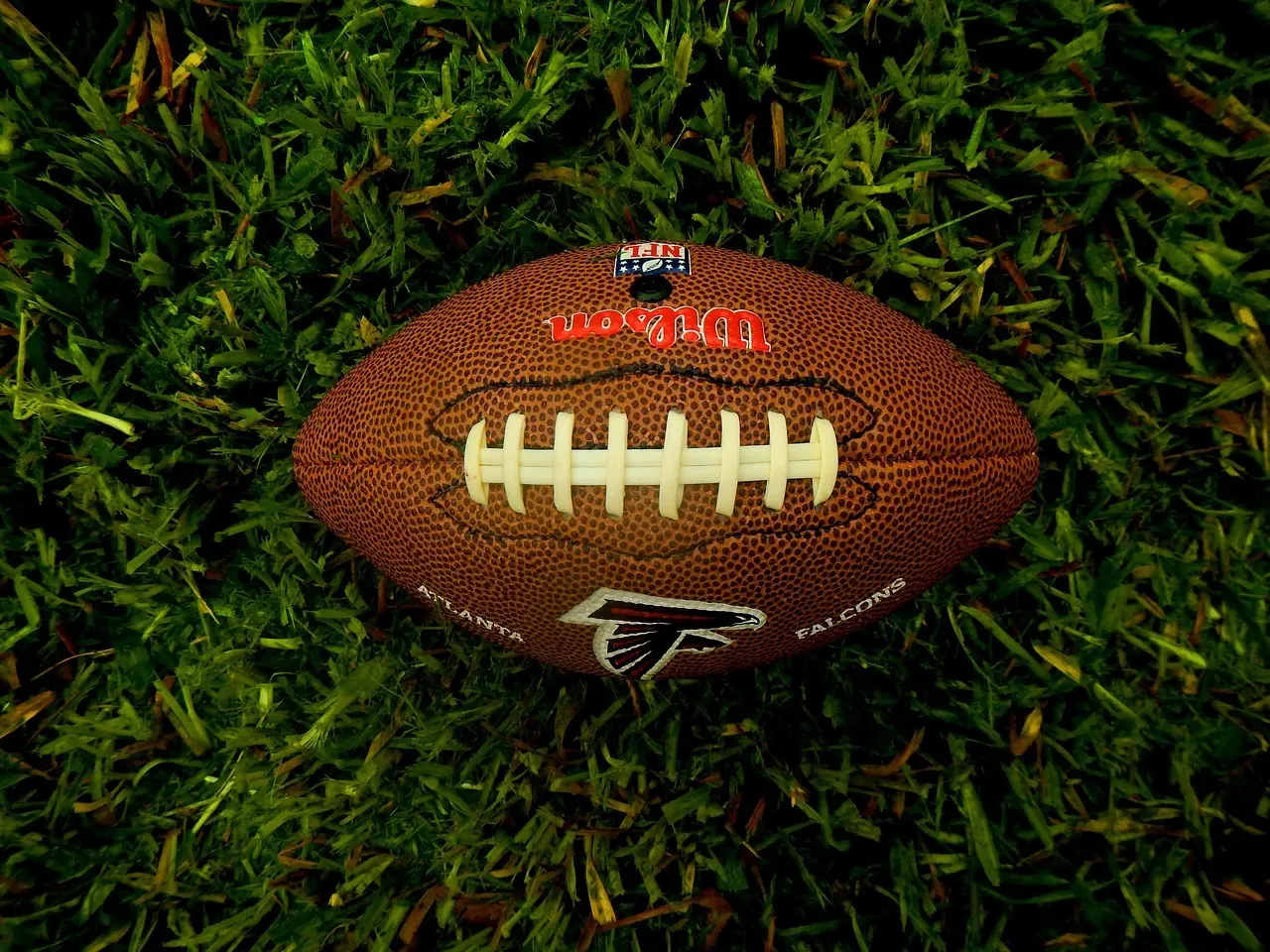 Amerikansk football på græs